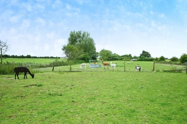 School Road, St. Johns Fen End, Wisbe..., Wisbech — photo 4