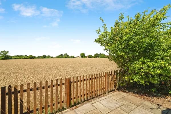 Bury Road, Hopton, Diss, Suffolk, IP22, Diss — photo 4