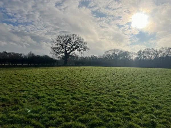 Broad Fen Lane, Dilham, North Walsham..., North Walsham — photo 1