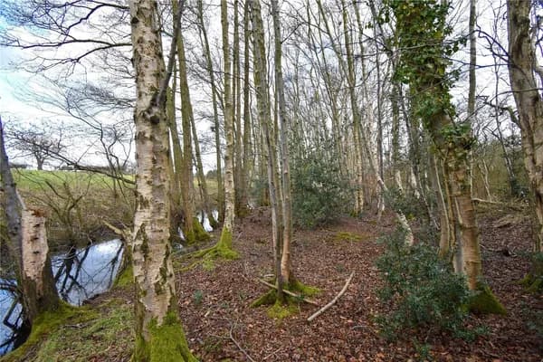 Broad Fen Lane, Dilham, North Walsham..., North Walsham — photo 4