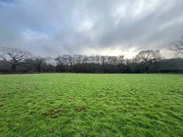 Broad Fen Lane, Dilham, North Walsham..., North Walsham — photo 5