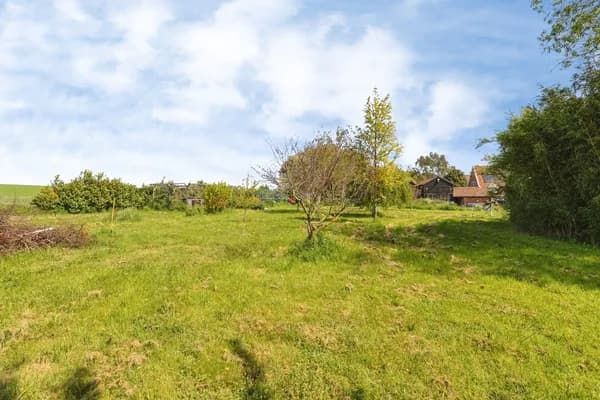 The Moor, Banham, Norwich, Norfolk, NR16, Norwich — photo 1