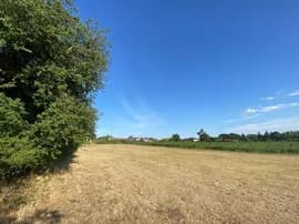 Foresters Avenue, Hilgay, Downham Market, Downham Market — photo 3