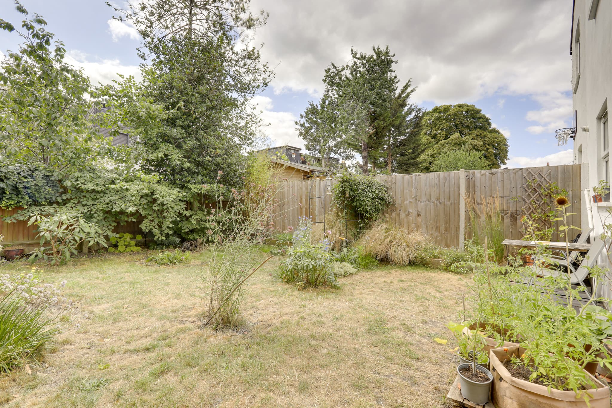 Barmeston Road — photo 5
