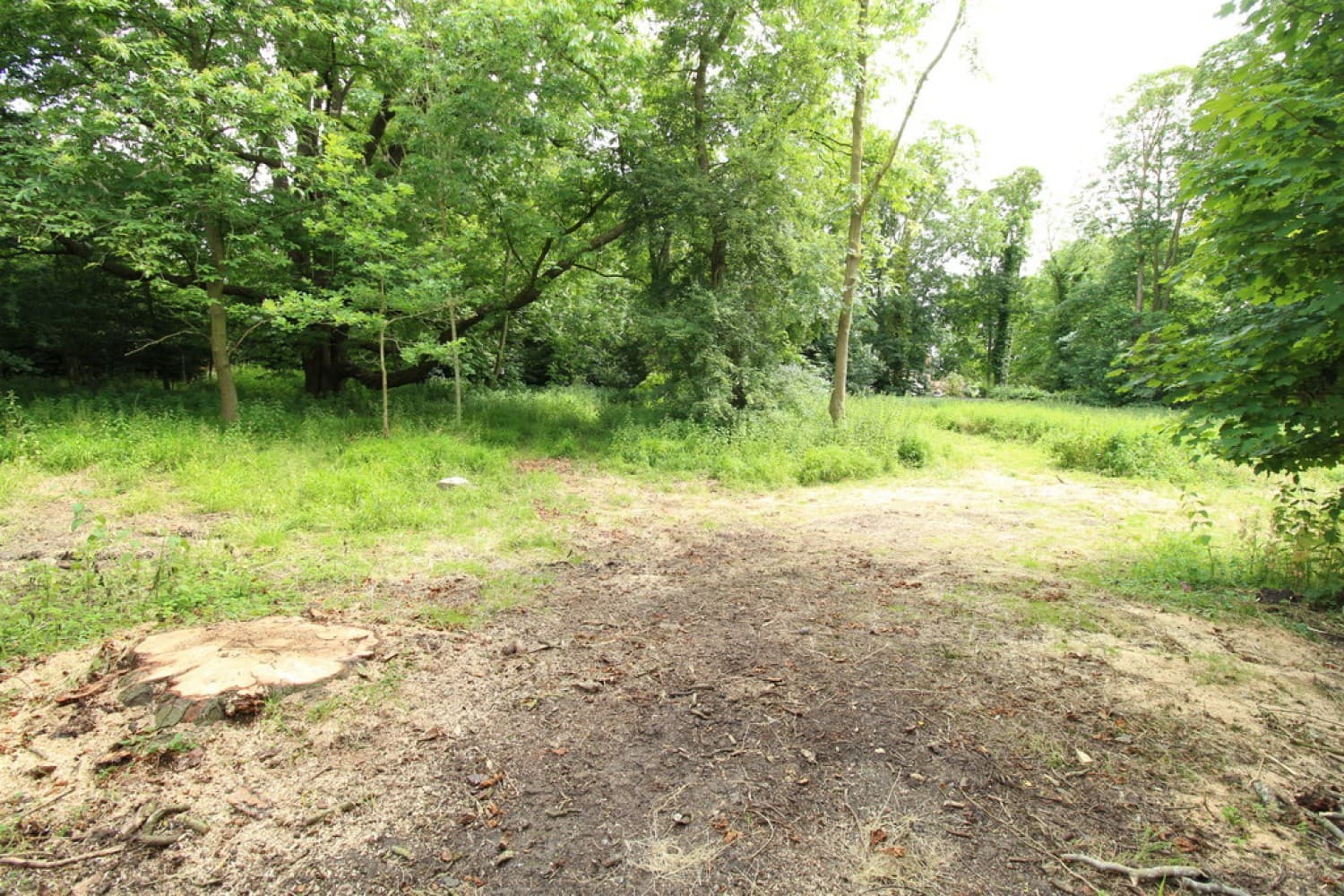 Property — photo 4