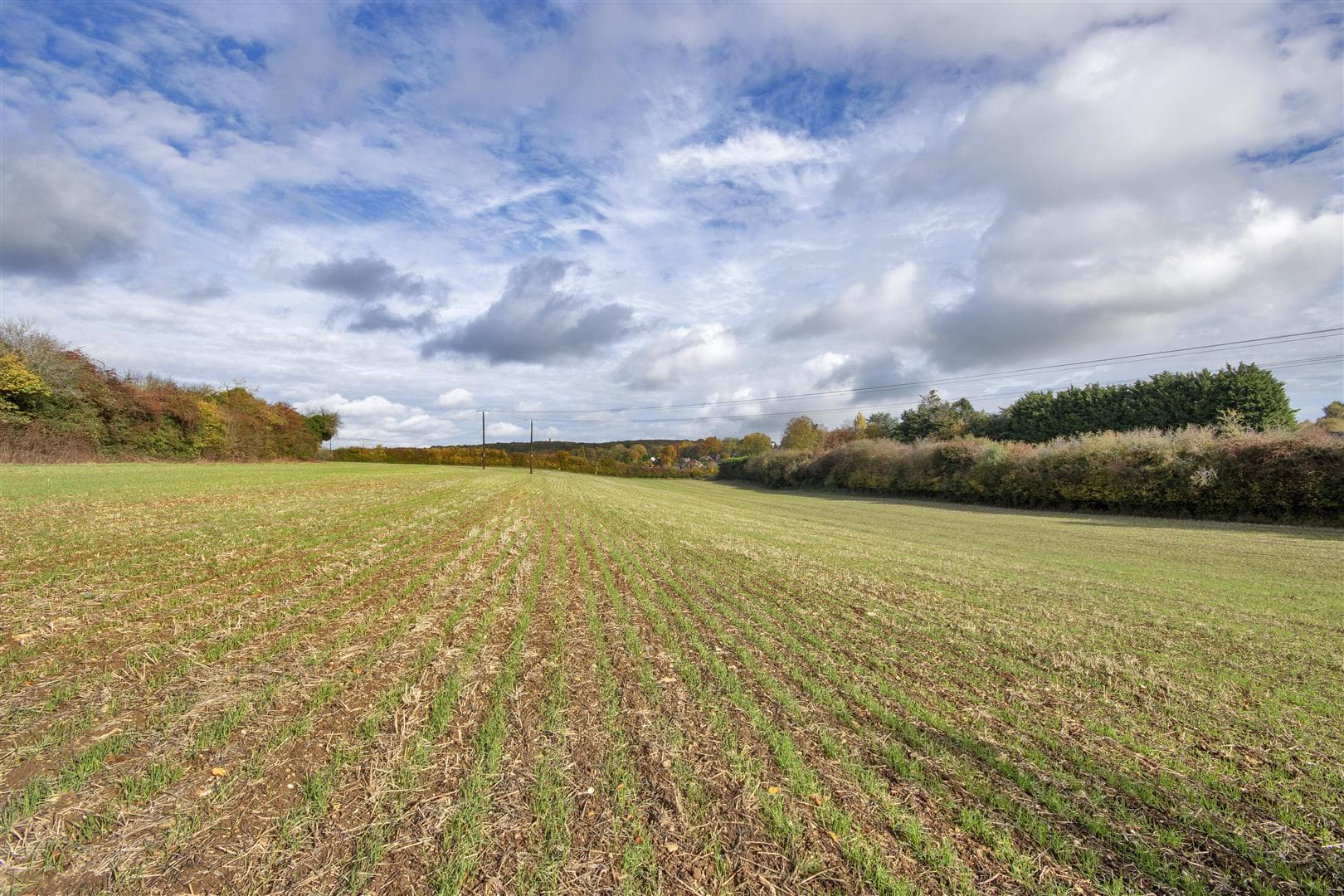 Land at Colgates Farm, Halstead, Sevenoaks, Kent — photo 3