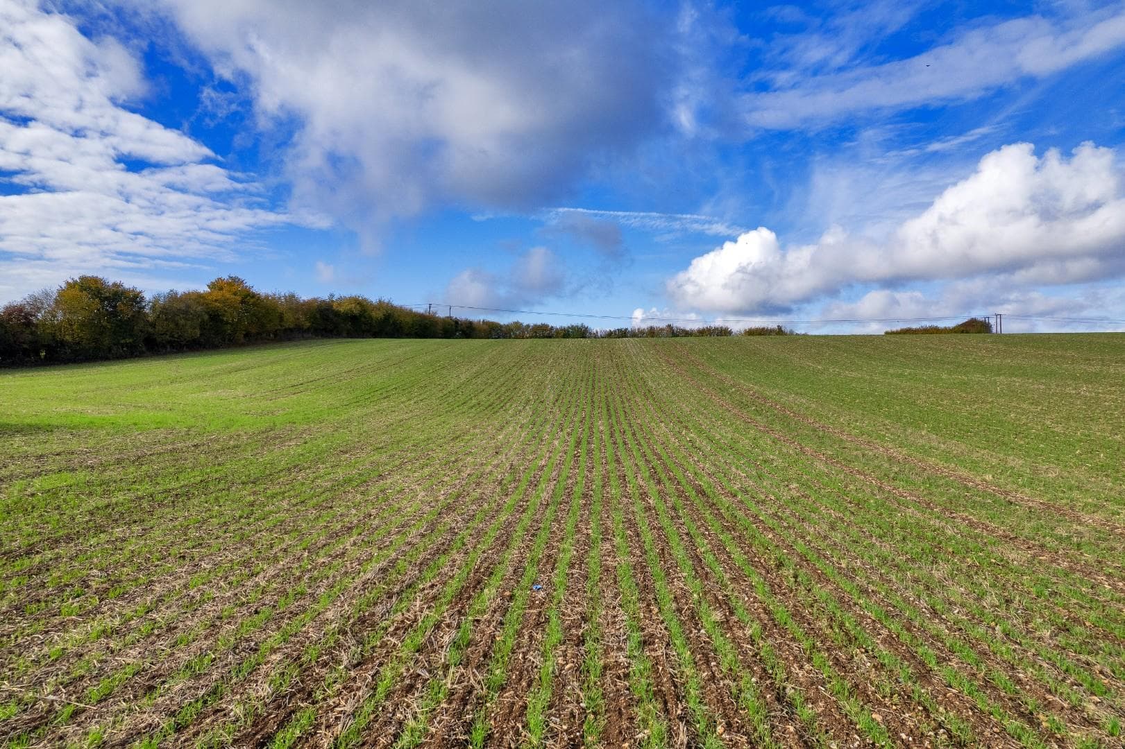 Land at Colgates Farm, Halstead, Sevenoaks, Kent — photo 2